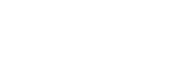 SecOne Logo